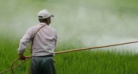 Banned pesticides used in Sri Lanka?